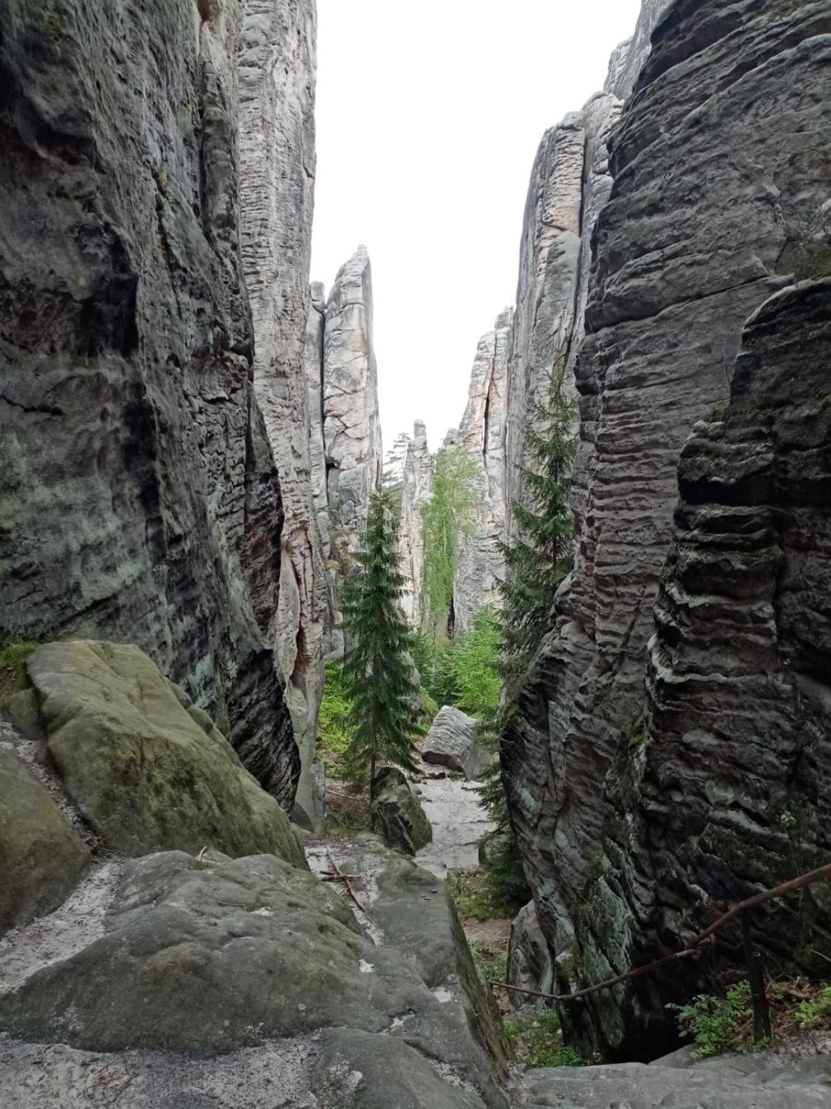 Penzion Jura Chřibská Exterior foto